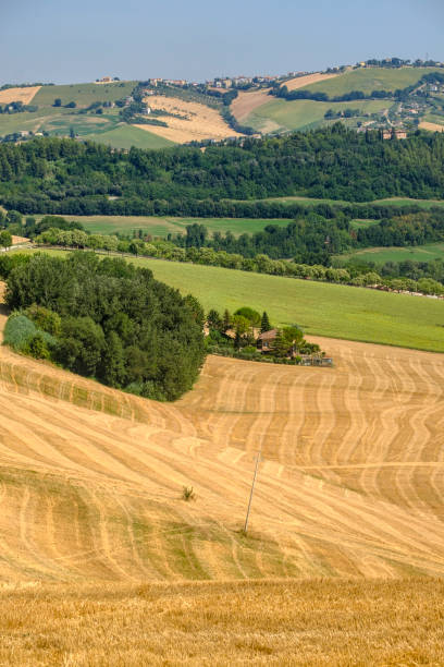 istock Summer landscape near Monterubbiano (Fermo, Marches) 872054432