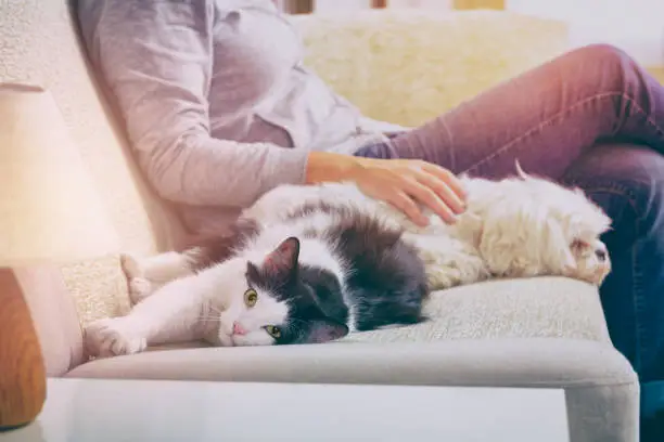 Photo of Woman with her pets