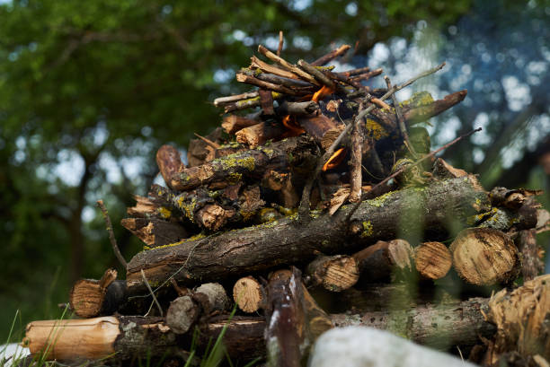 istock Close-up of campfire in spring forest 872058336