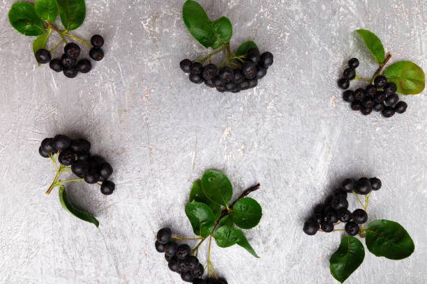 istock Chokeberry on grey background. Aronia berry with leaf. Top view. Copy space. 872071324