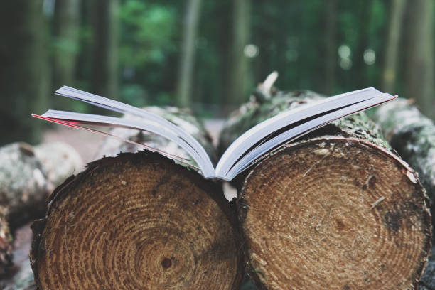 istock An open book lies on felled trees save trees - read ebooks concept 872071834