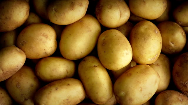 Potato Pile Rotating
