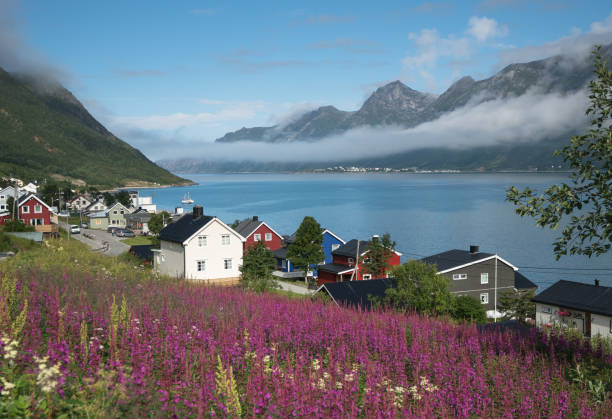View of norwegian village  in Senja Island,Norway View of norwegian village  in Senja Island,Norway senja island photos stock pictures, royalty-free photos & images