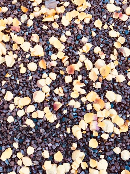 istock Autumn leaves on concrete 872085638