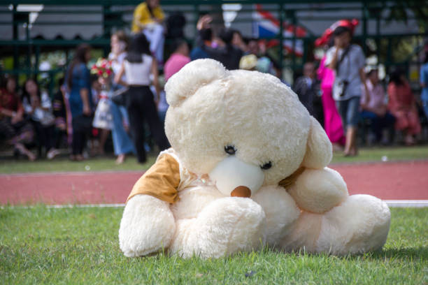 Big Bear sitting on the grass of the stadium.