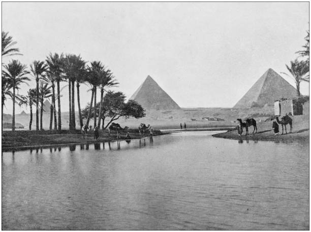 antikes foto des weltweit berühmten sehenswürdigkeiten: gizeh - ägypten fotos stock-grafiken, -clipart, -cartoons und -symbole