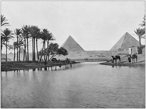 Antique photograph of World's famous sites: Giza