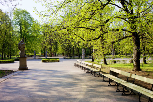 istock Saxon Garden in Warsaw 872100890
