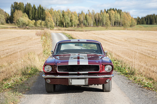 Muscle car in the countryside. Maroon and gray striped color.