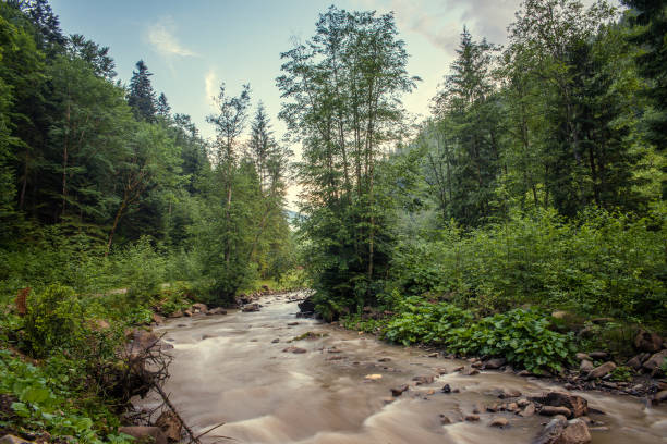 istock river in the Carpathian mountains 872108544