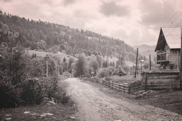 istock road in the village 872108586