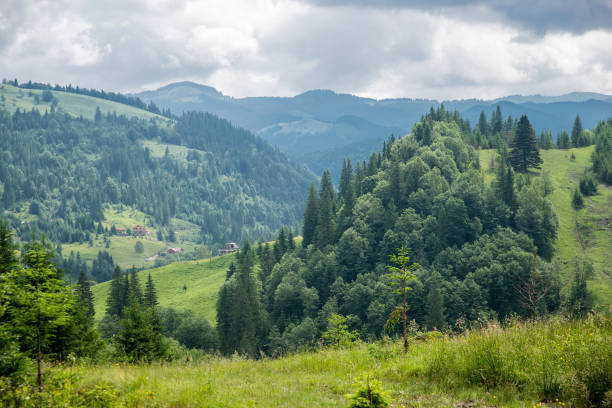 istock landscape in the Carpathian mountains 872108608