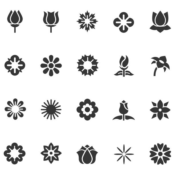 zestaw ikon kwiatu - design abstract petal asia stock illustrations