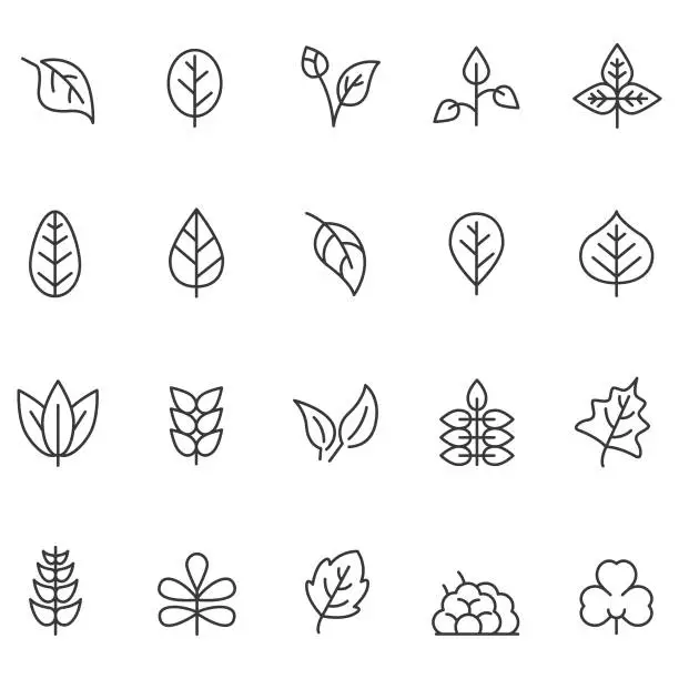 Vector illustration of Leaf icon set