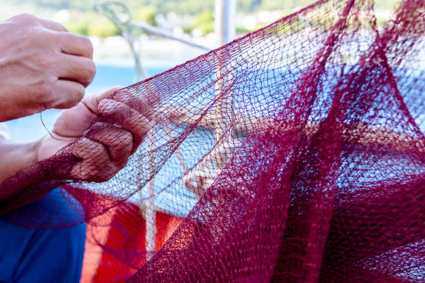 istock Fisherman is fixing the fish net 872118848