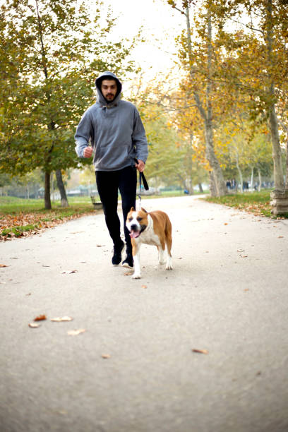 istock Young man jogging with his dog in park 872120224