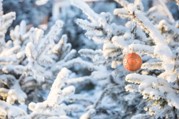 istock Christmas tree branches with toy in winter forest 872121246