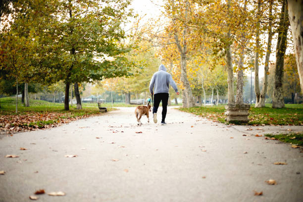 istock Young man jogging with his dog in park 872121824