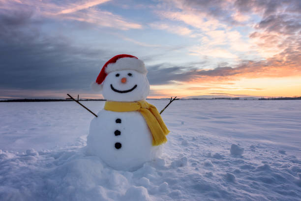 istock Funny snowman in Santa hat 872124142