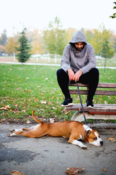 istock Young man exercising in a park with his dog 872125158