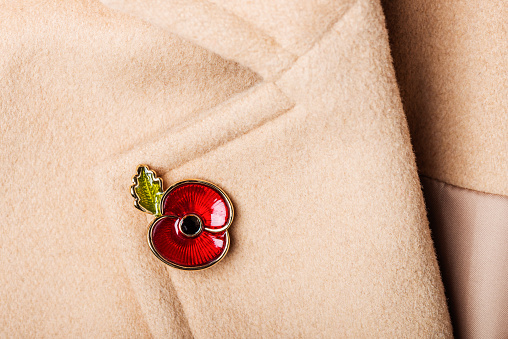 Red Poppy Pin as a Symbol of Remembrance Day, 11 November