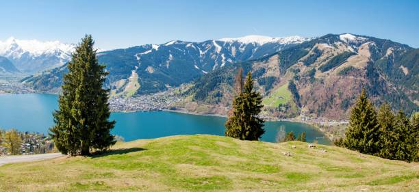 istock panorama view over Zell am See 872128808
