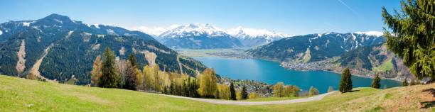 vista panoramica su zell am see - european alps flower north tirol holiday foto e immagini stock