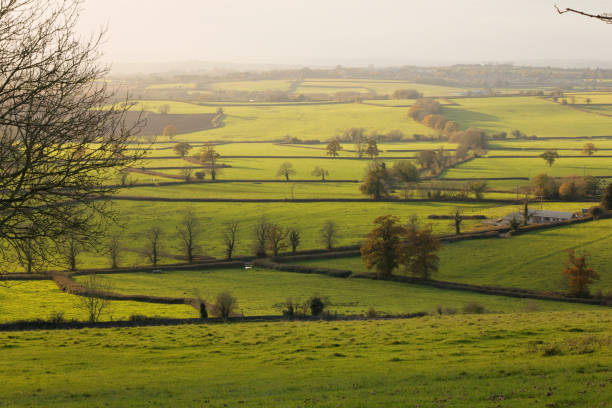 istock Autumn landscape 872132058