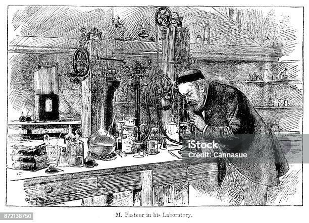 19th Century Engraving Of Louis Pasteur At Work In His Laboratory Victorian Scientists And Their Discoveries 1890 Stock Illustration - Download Image Now