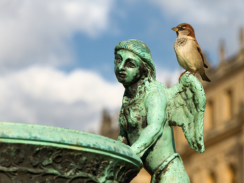 Old historical bronze sculpture of angel man in the Versailles palace park closeup with the palace fasade as a background and sparrow sitting on angel's shoulder.
