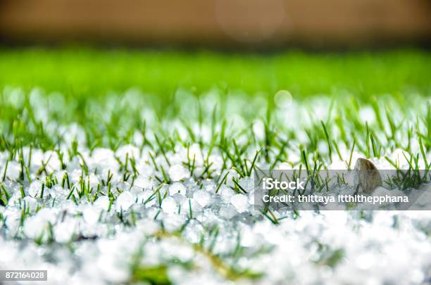 Hailstones Over Green Yard Stock Photo - Download Image Now - Hailstorm, Hail, Accidents and Disasters