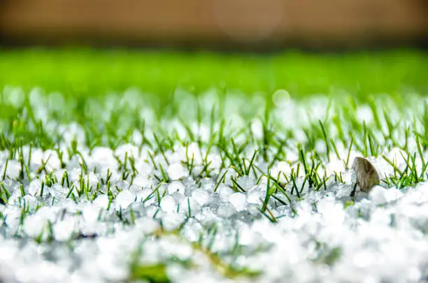 Hailstones falling over green yard. The strong thunderstorms during warm weather in Summer.