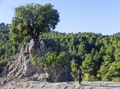 Oak tree on top of a big rock formation. Pine forest is seen on the background. A woman wearing a purple sweater is seen on the down right side of frame. Shot in daylight with a full frame DSLR camera.