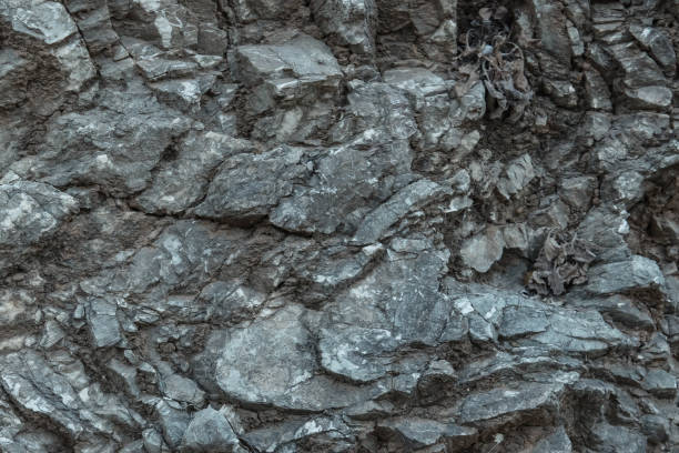 istock Aged gray stone macro, granite texture closeup 872166918