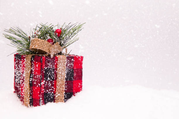 istock Red and Black Plaid Wrapped Present in the Snow 872174176