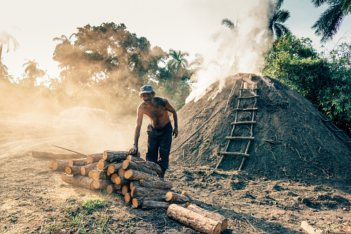 Charcoal producing in Cuba, worker with tree trunk