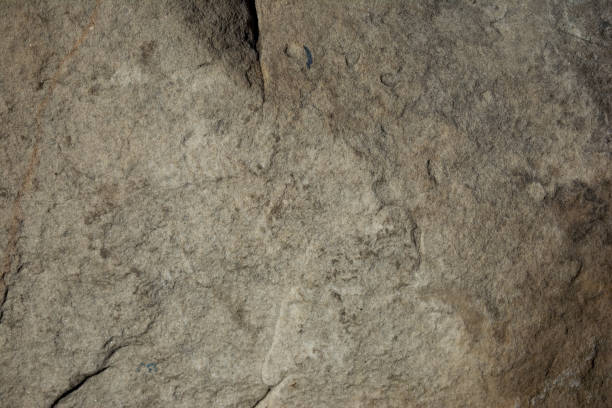istock The texture of the cracked stone. Horizontal background. 872181608
