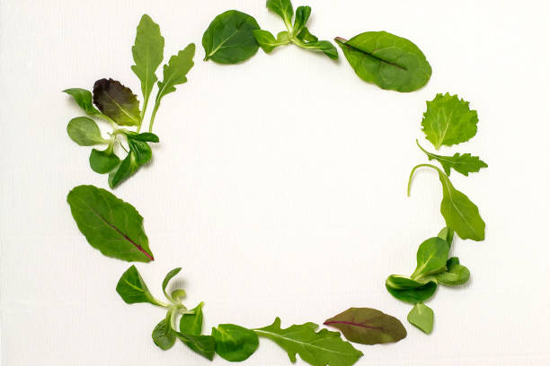 istock Round frame of different salad leaves on white background 872187518