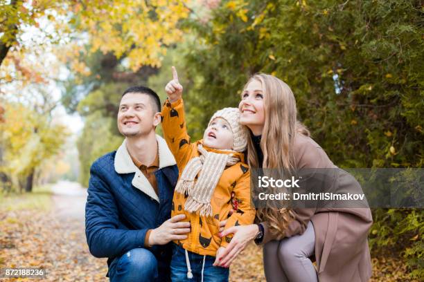 Passeggiata In Famiglia Nella Foresta In Uccelli Autunnali - Fotografie stock e altre immagini di Formazione in volo