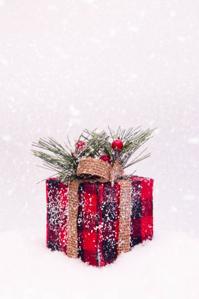 istock Red and Black Plaid Wrapped Present in the Snow 872191288