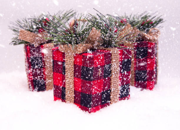 istock Red and Black Plaid Wrapped Present in the Snow 872193116