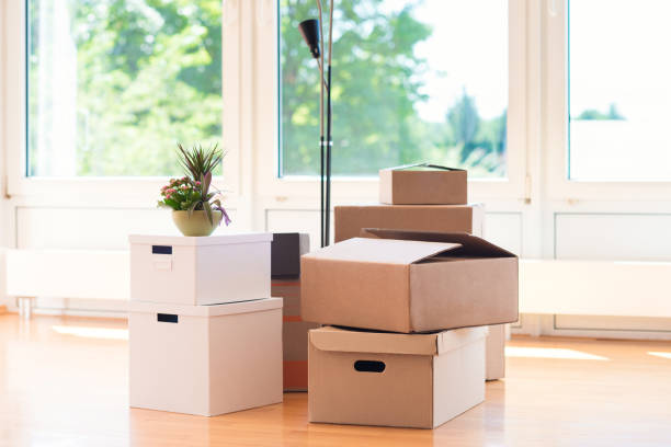 istock Many cardboard boxes in bright house during relocation 872199552