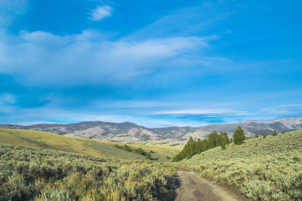 istock Colorado Hiking Trails 872207118
