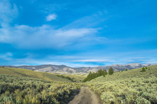 istock Colorado Hiking Trails 872207362