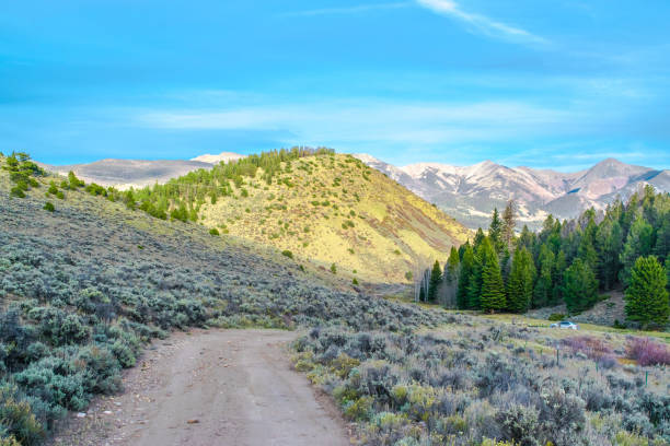 istock Colorado Hiking Trails 872210442