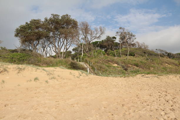 istock Beach Coffs Harbour in New South Wales, Australia 872213452