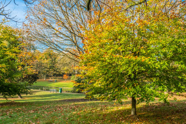 istock Autumn color in Grove Park, Harborne, Birmingham 872215002