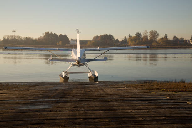 istock Floating plane concept freedom colorful trees ocean 872221184