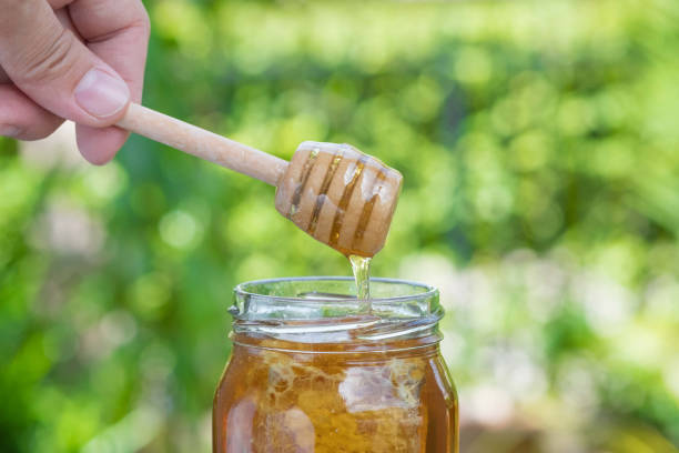 istock Jar with Fresh honey and honey dipper natural background 872221684