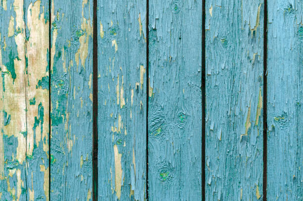 istock texture peeling green paint on a wooden board on the whole frame 872229258